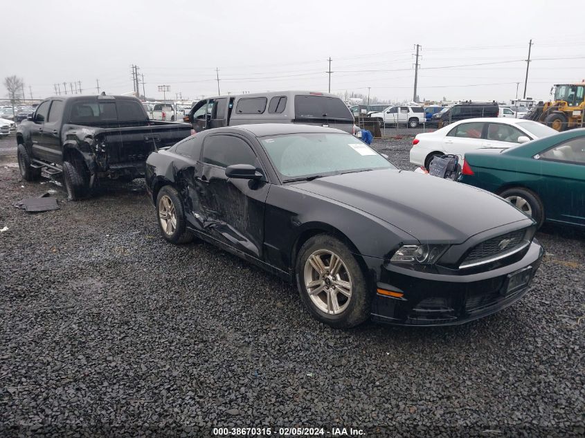 Lot #2427038861 2013 FORD MUSTANG V6 salvage car