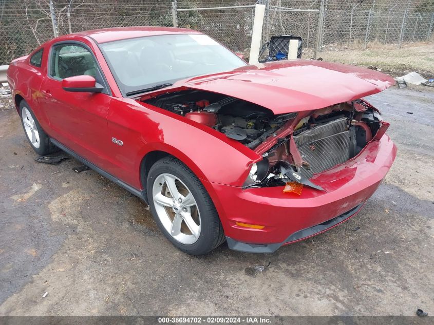 Lot #2488543003 2011 FORD MUSTANG GT salvage car
