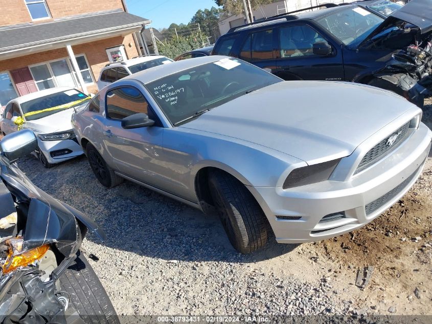 Lot #2490858849 2014 FORD MUSTANG V6 salvage car