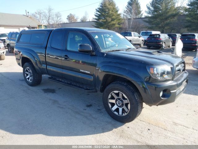 Auction sale of the 2007 Toyota Tacoma Base V6, vin: 5TEUU42N37Z346026, lot number: 38829496