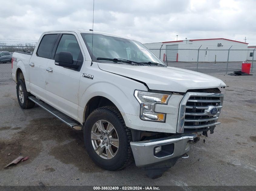 Lot #2494329192 2016 FORD F150 SUPERCREW salvage car