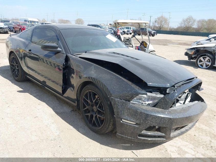 Lot #2506948469 2014 FORD MUSTANG GT salvage car