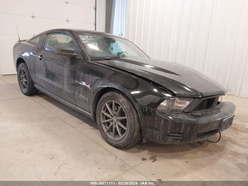 Lot #2490861967 2011 FORD MUSTANG V6 salvage car