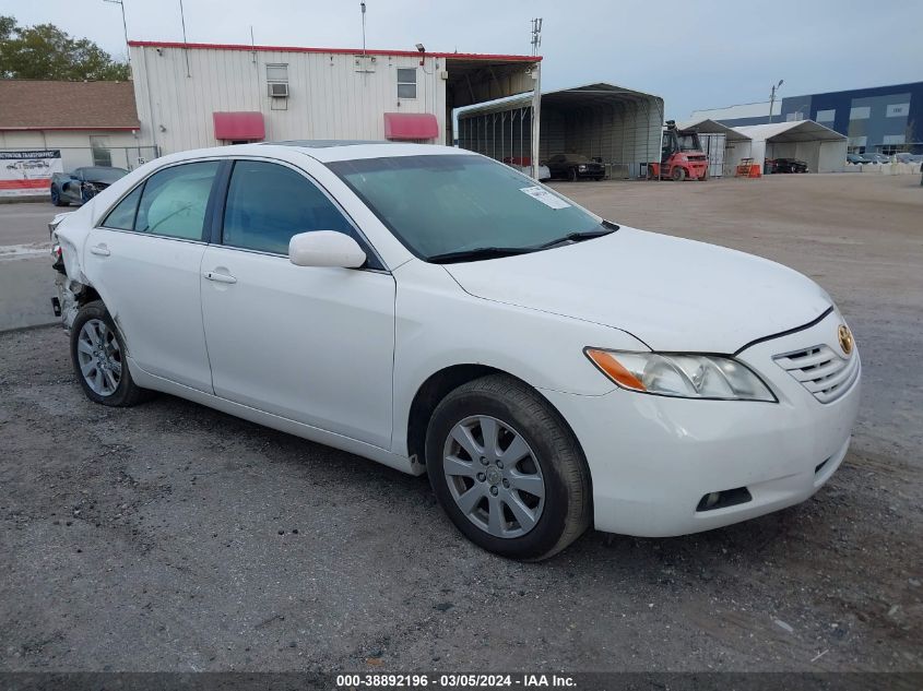 Lot #2425844234 2009 TOYOTA CAMRY XLE V6 salvage car