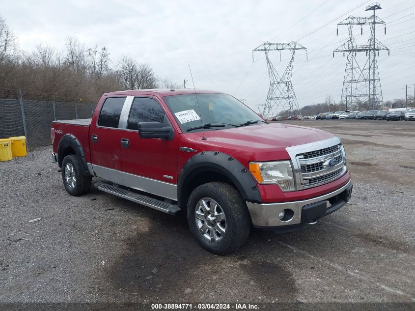 Lot #2427026630 2013 FORD F150 SUPERCREW salvage car