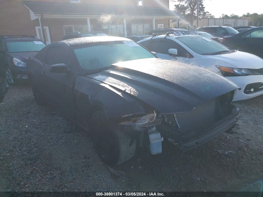 Lot #2490858355 2014 FORD MUSTANG GT salvage car