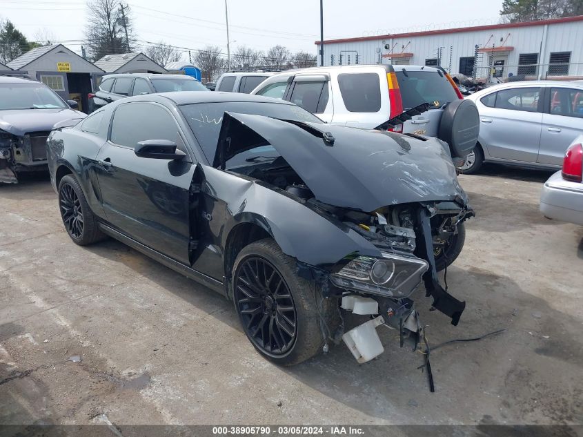 Lot #2506945278 2014 FORD MUSTANG GT salvage car