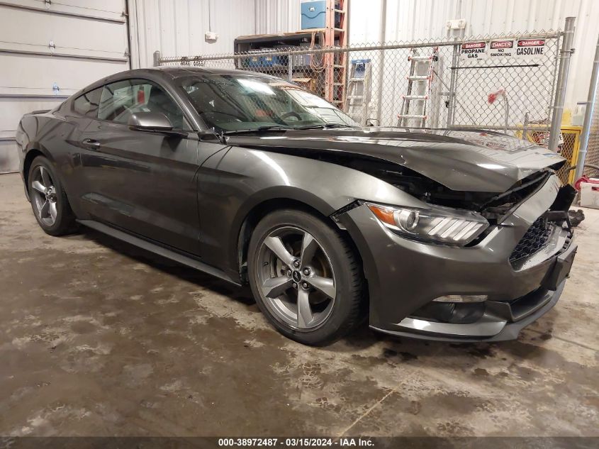 Lot #2493175971 2017 FORD MUSTANG ECOBOOST salvage car