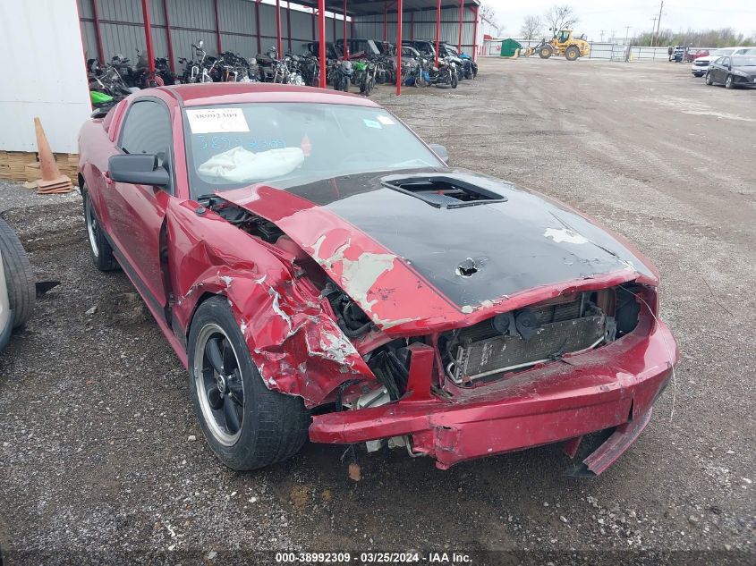 Lot #2509249057 2006 FORD MUSTANG GT salvage car