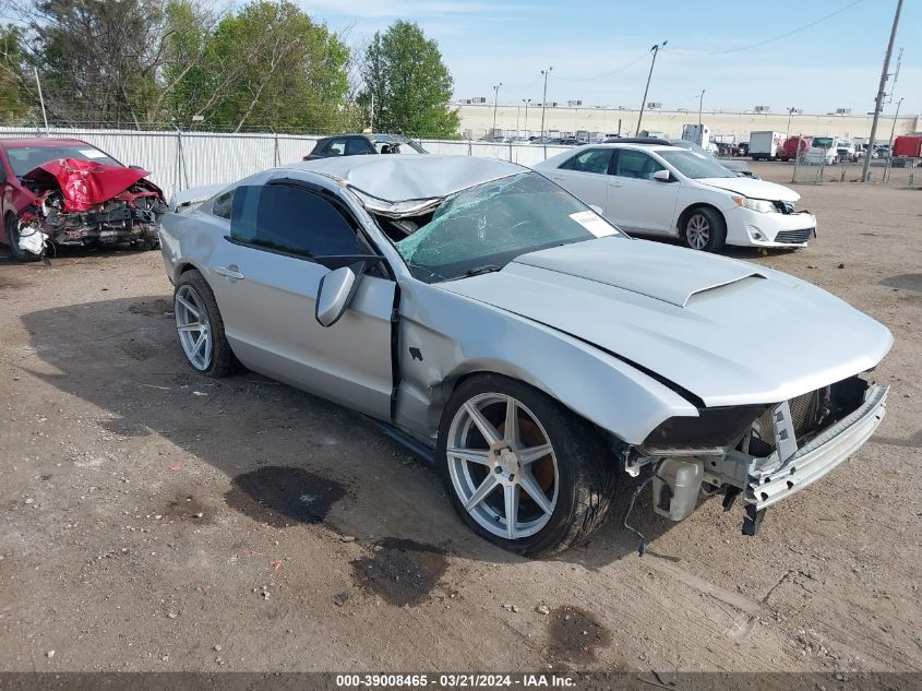 Lot #2509249242 2010 FORD MUSTANG GT/GT PREMIUM salvage car