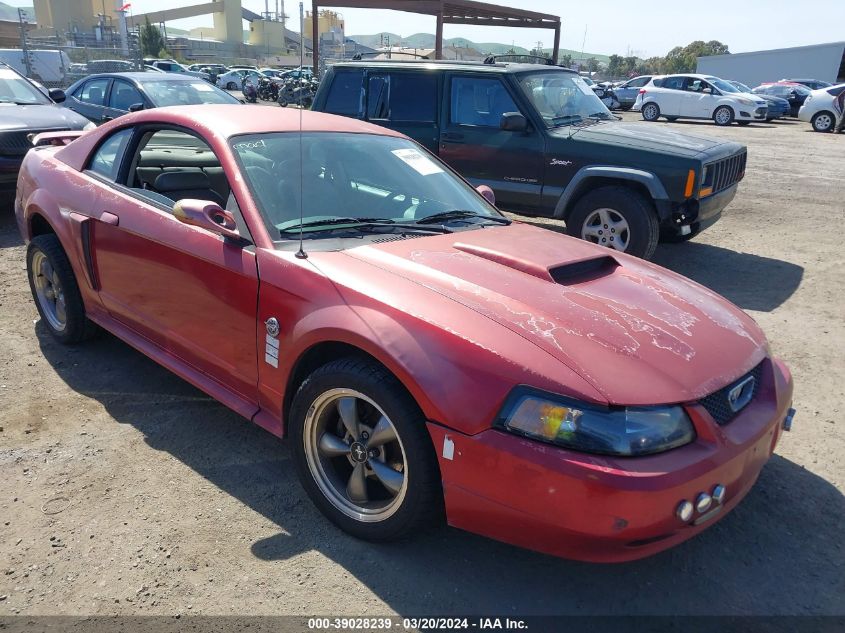 Lot #2488548883 2004 FORD MUSTANG GT salvage car