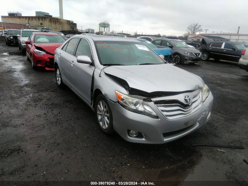 Lot #2490857057 2010 TOYOTA CAMRY XLE V6 salvage car