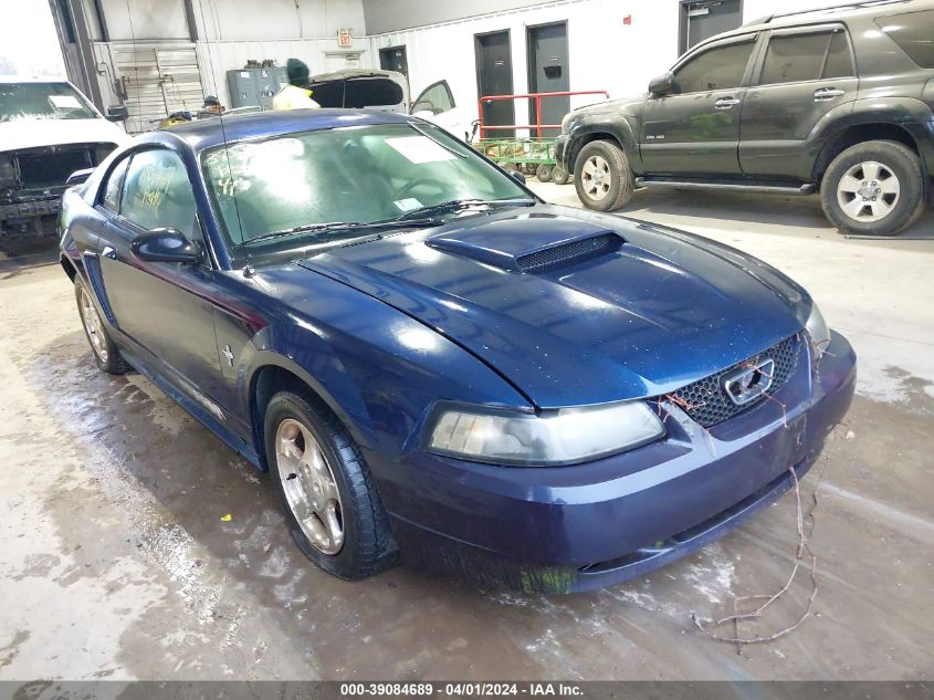 Lot #2504636748 2002 FORD MUSTANG salvage car
