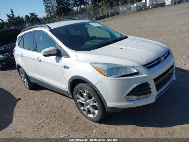 Auction sale of the 2013 Ford Escape Sel, vin: 1FMCU9HXXDUA47215, lot number: 39093649