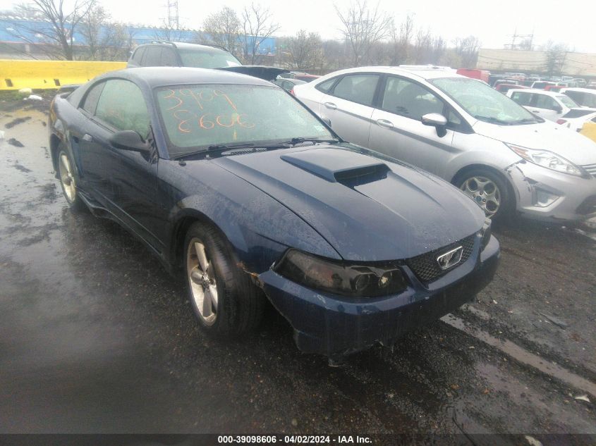 Lot #2490867571 2003 FORD MUSTANG GT salvage car