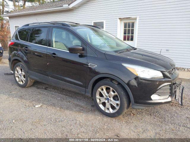 Auction sale of the 2013 Ford Escape Se, vin: 1FMCU0GX5DUD36161, lot number: 39101105