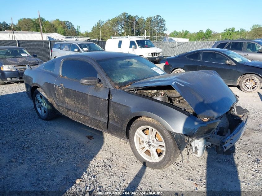 Lot #2490856886 2014 FORD MUSTANG V6 salvage car