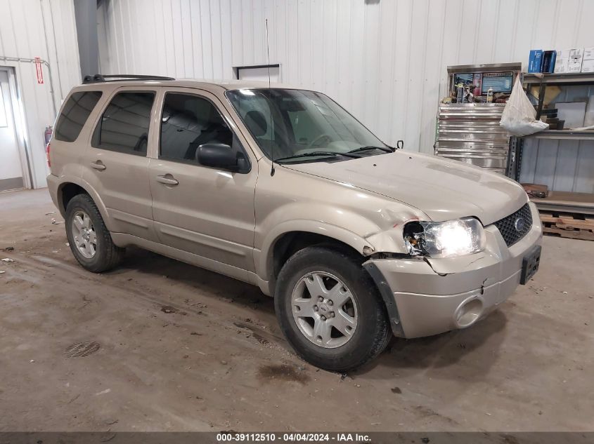 Lot #2493175234 2007 FORD ESCAPE LIMITED salvage car