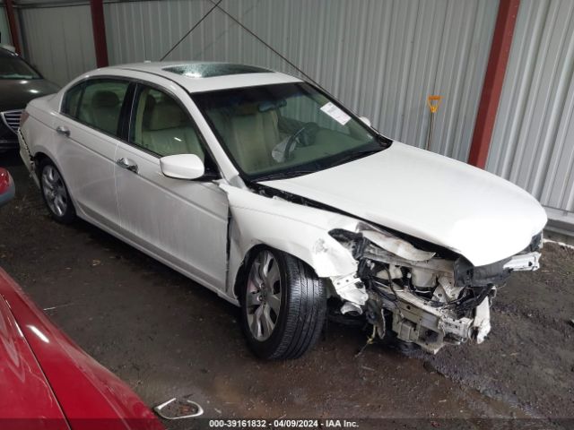 Auction sale of the 2009 Honda Accord 3.5 Ex-l, vin: 1HGCP36849A034488, lot number: 39161832