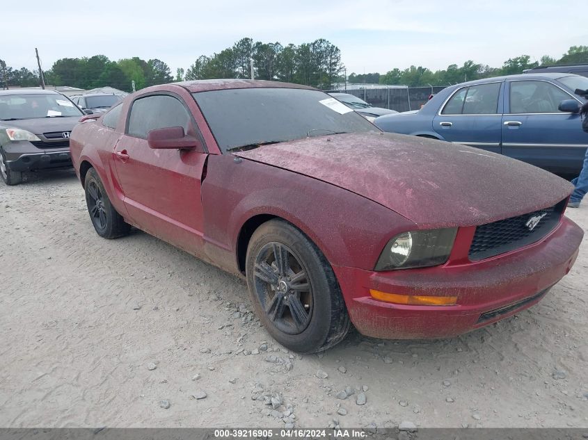 Lot #2486234960 2005 FORD MUSTANG V6 DELUXE/V6 PREMIUM salvage car