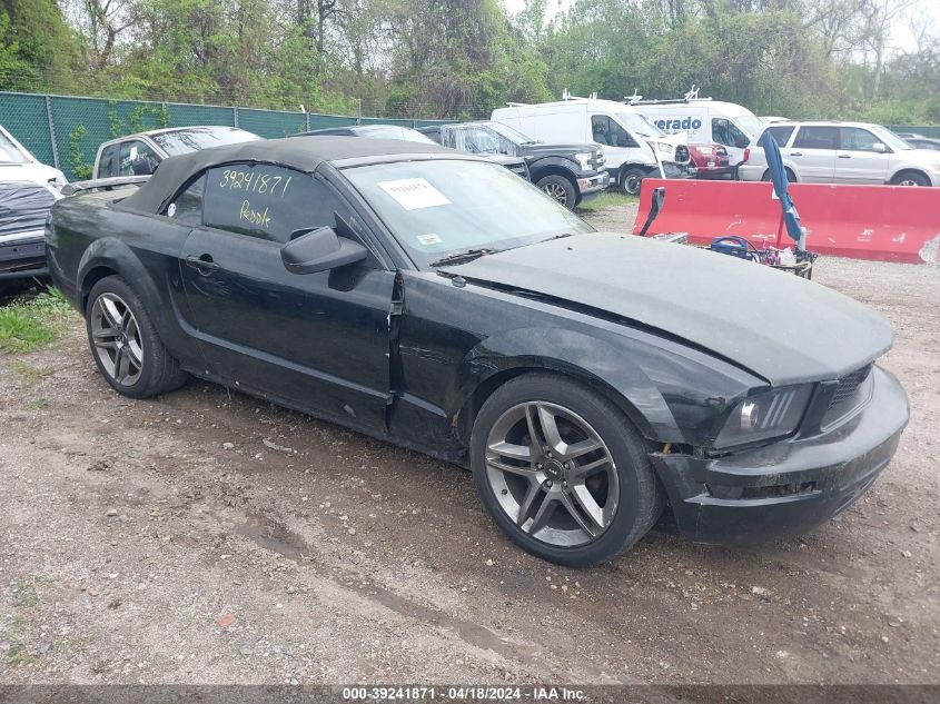 Lot #2504634148 2005 FORD MUSTANG salvage car