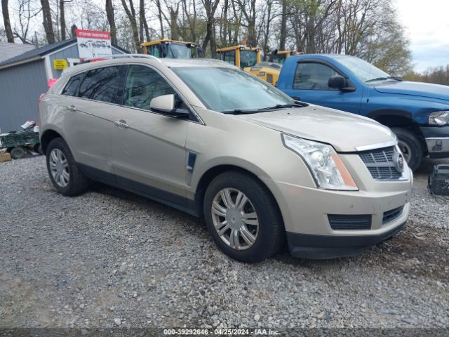Auction sale of the 2011 Cadillac Srx Luxury Collection, vin: 3GYFNDEYXBS533948, lot number: 39292646