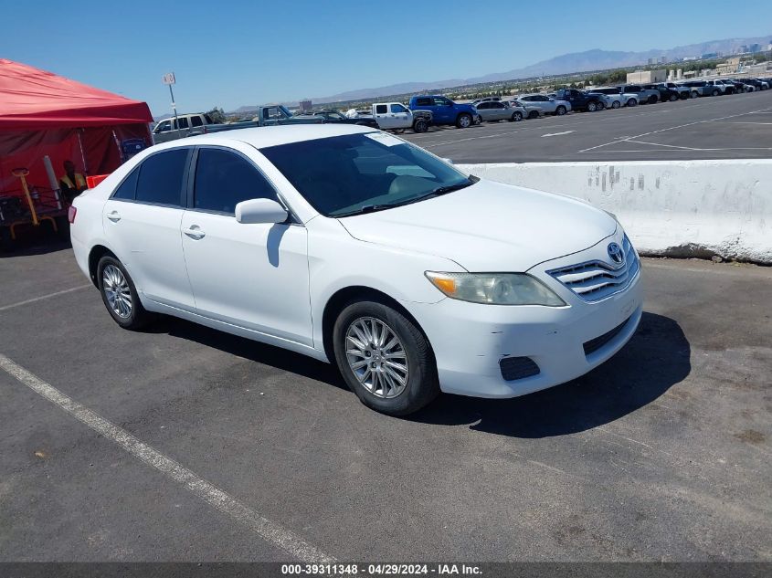 Lot #2509228556 2010 TOYOTA CAMRY LE salvage car