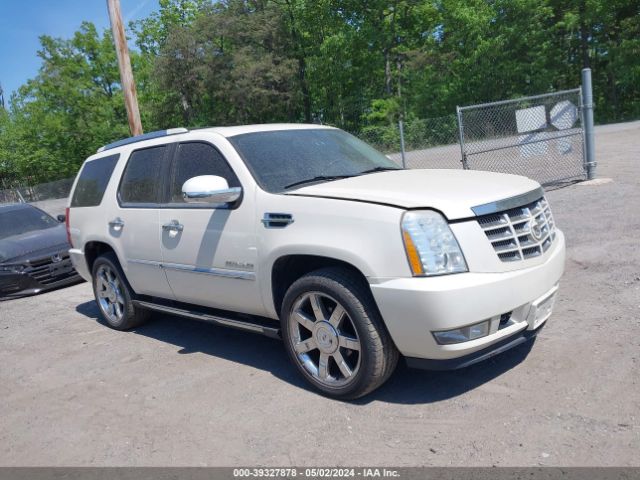 Auction sale of the 2010 Cadillac Escalade Premium, vin: 1GYUKCEF9AR136905, lot number: 39327878