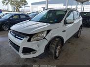 2013 Ford Kuga 2.0 TDCi Trend AWD Powershift